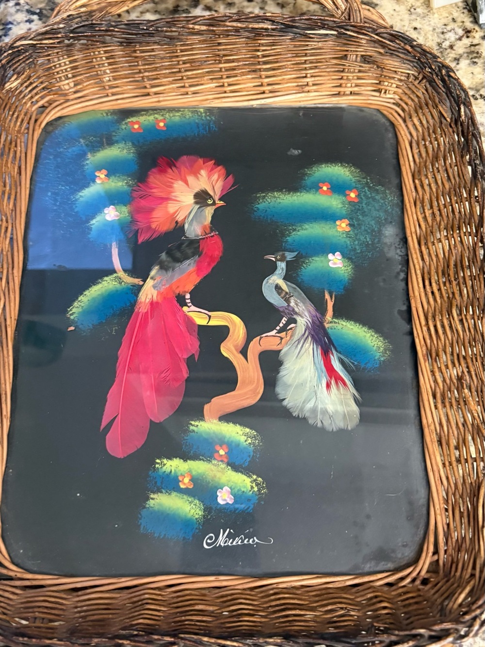 Decorative Feather Bird Wall Art Tray - Black with Red & White Feathers